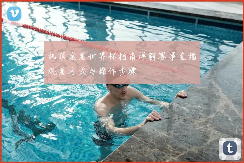 机顶盒看世界杯指南详解赛事直播观看方式与操作步骤