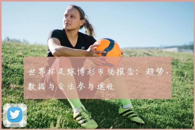 世界杯足球博彩市场报告：趋势、数据与合法参与途径
