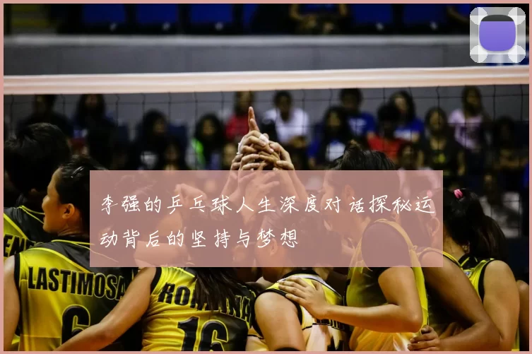 李强的乒乓球人生深度对话探秘运动背后的坚持与梦想