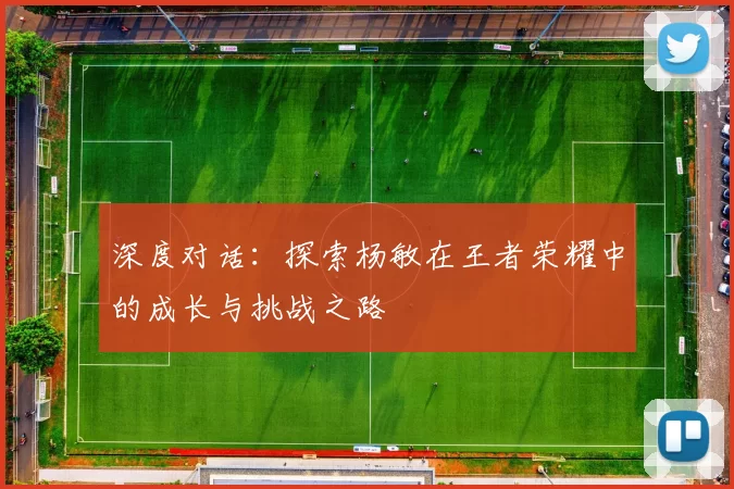 深度对话：探索杨敏在王者荣耀中的成长与挑战之路