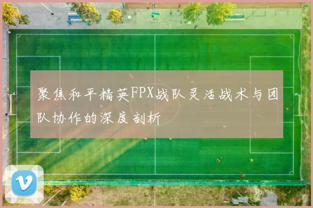 聚焦和平精英FPX战队灵活战术与团队协作的深度剖析