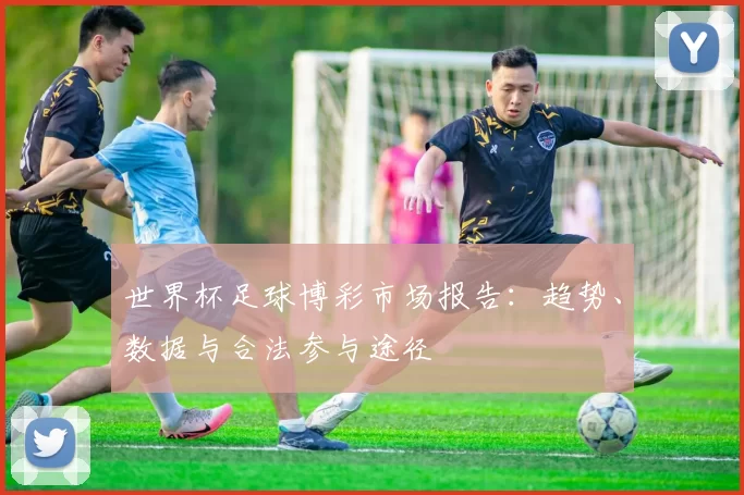 世界杯足球博彩市场报告：趋势、数据与合法参与途径