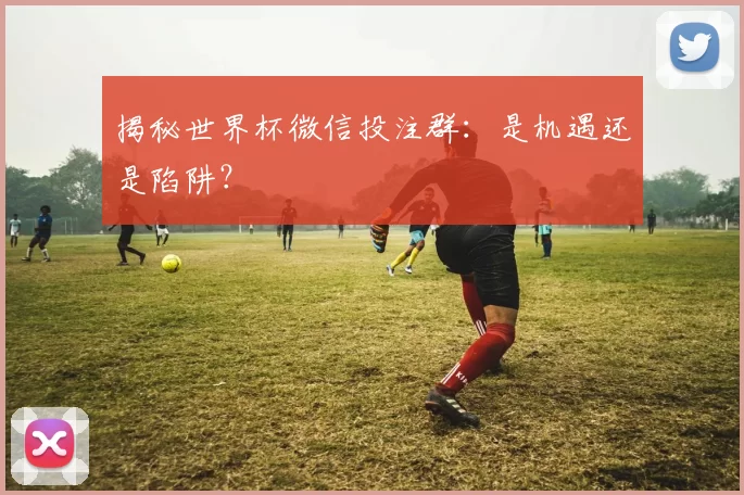 揭秘世界杯微信投注群：是机遇还是陷阱？