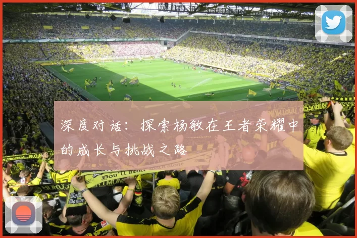 深度对话：探索杨敏在王者荣耀中的成长与挑战之路