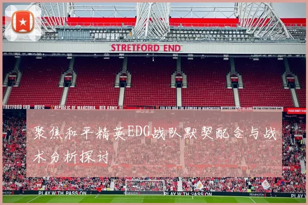 聚焦和平精英EDG战队默契配合与战术分析探讨