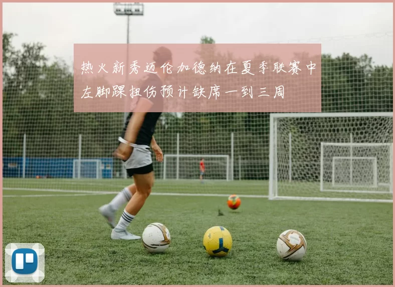 热火新秀迈伦加德纳在夏季联赛中左脚踝扭伤预计缺席一到三周