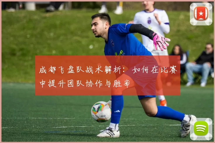 成都飞盘队战术解析：如何在比赛中提升团队协作与胜率