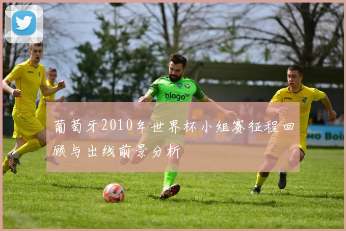 葡萄牙2010年世界杯小组赛征程回顾与出线前景分析
