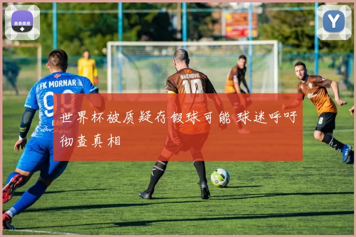 世界杯被质疑存假球可能 球迷呼吁彻查真相