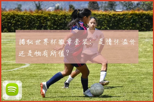 揭秘世界杯徽章套装：是情怀溢价还是物有所值？