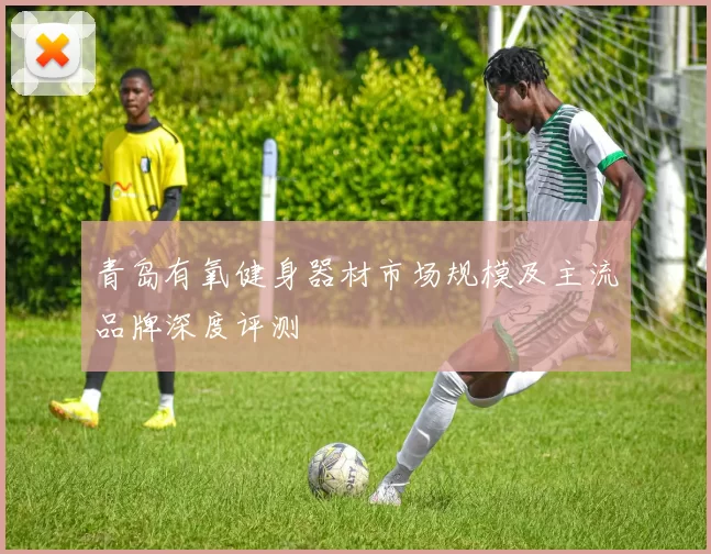 青岛有氧健身器材市场规模及主流品牌深度评测
